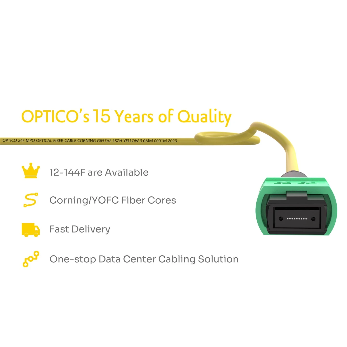 24F MPO Trunk Cable OS2 Female 2×12
